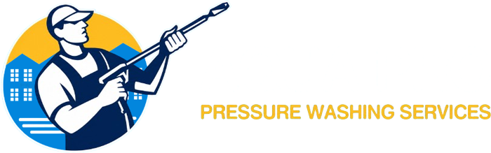 Aqua Pro Pressure Washing logo